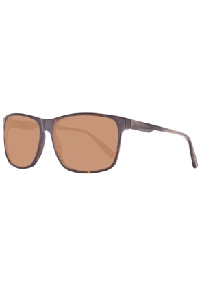 Brown Plastic Sunglasses