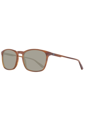 Brown Plastic Sunglasses