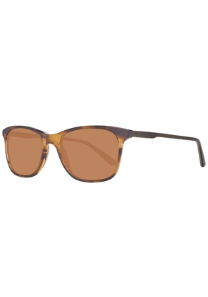 Brown Plastic Sunglasses