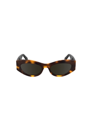 Brown Acetate Women Sunglass