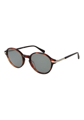 Brown Men Sunglasses