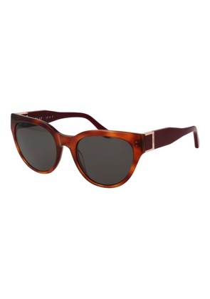 Replay Brown Plastic Sunglasses