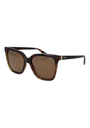 Polaroid Brown Polycarbonate Sunglasses