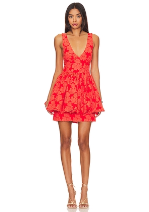 Aureta. Leighton Mini Dress in Orange. Size M. Also in XL.