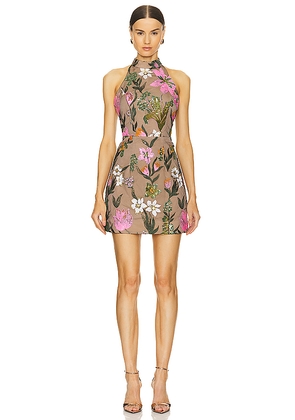 ELLIATT Luminary Dress in Brown. Size XL. Also in L.