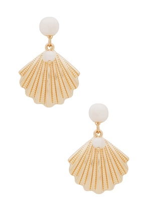 Ettika Shell Earring in Metallic Gold.
