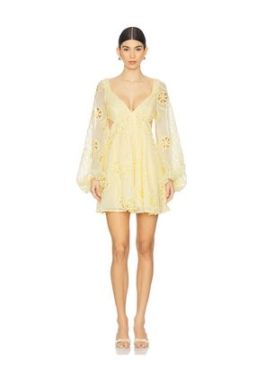 Bardot Jovie Babydoll Mini Dress in Yellow. Size 10. Also in 6.