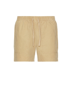 Duvin Design Leisure Walk Shorts in Brown. Size M. Also in XL/1X.