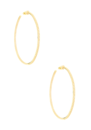 BRACHA Wildside Hoops in Metallic Gold.