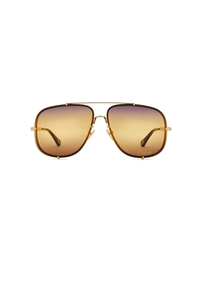 Chloe Ivy Sunglasses in Metallic Gold.