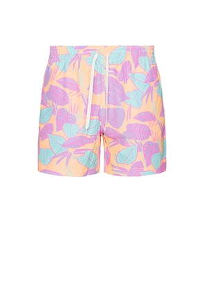 Chubbies The Posh Palms 5.5 Swim Short in Orange. Size L. Also in XL/1X.