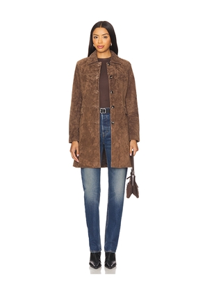 BLANKNYC Long Jacket in Chocolate. Size L. Also in M.