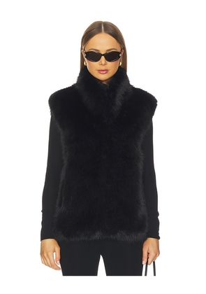 Apparis Laila Sable Vest in Black. Size L. Also in M, XL, XXS.