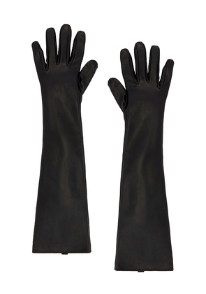 EAVES Leather Gloves in Black.