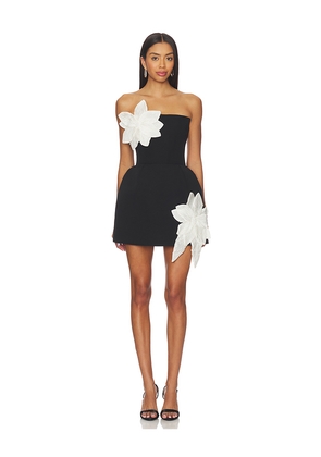 Bronx and Banco Jasmine Maraya Mini Dress in Black,White. Size L. Also in S.