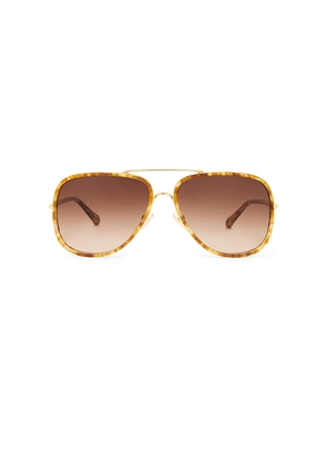 Chloe Tubolar Sunglasses in Tan.