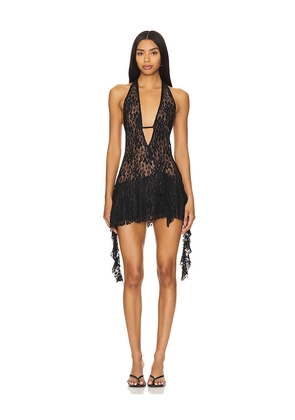 I.AM.GIA Irisia Lace Mini Dress in Black. Size L. Also in M, S, XS, XXS.