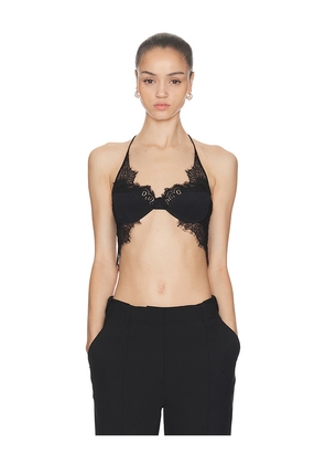 HAELO Collage Lace Bra in Black. Size L. Also in M, XL.