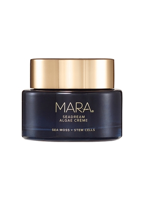 MARA SeaDream Algae Creme Moisturizer for Firming & Tightening in Beauty: NA.