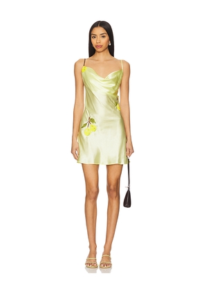 Leslie Amon Galli Mini Dress in Lemon. Size L. Also in M, S, XS.