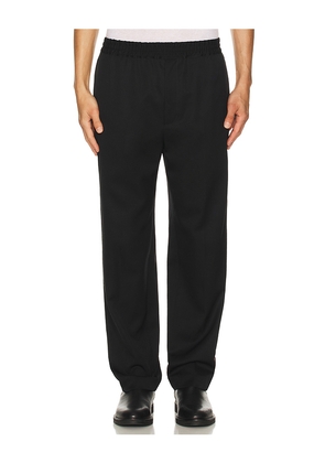 NILI LOTAN Lawrence Pant in Black. Size L. Also in M, XL/1X, XXL/2X.