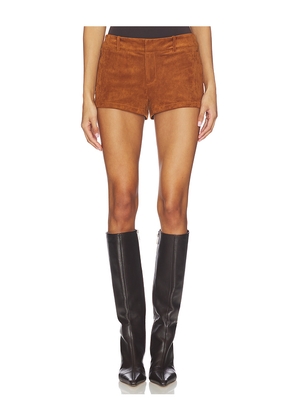 NIA Gower Short in Tan. Size L. Also in M, S, XL, XS.