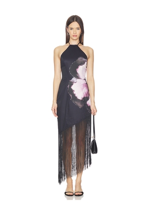 MORE TO COME Deirdre Halter Midi Dress in Black,Rose. Size L. Also in M, S, XL, XS, XXS.