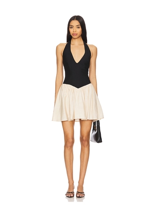 SEVEN WONDERS Sammi Mini Dress in Black. Size S. Also in XL, XS.