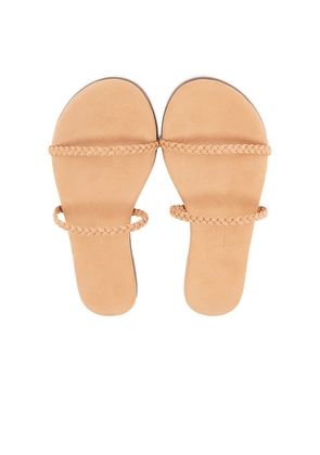 TKEES Gemma Braid Sandal in Nude. Size 7. Also in 8.