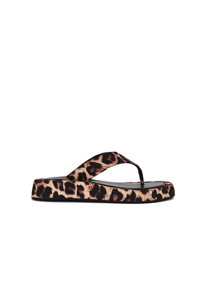 Tony Bianco Ives Sandal in Burgundy. Size 6. Also in 7.