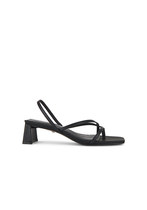 RAYE Porter Sandal in Black. Size 10. Also in 6, 7, 8, 9.