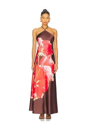 Steve Madden Flora Dress in Chocolate. Size 10. Also in 2, 6, 8.