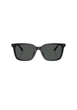 Polo Ralph Lauren Square Sunglasses in Black.