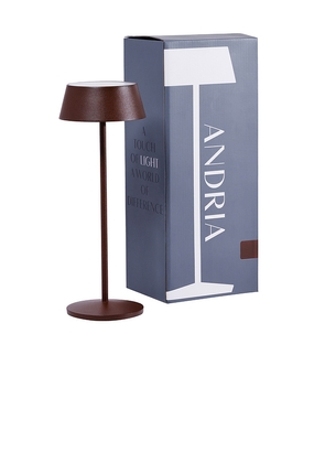 The Favorites Andria Rechargeable Table Light in Brown.