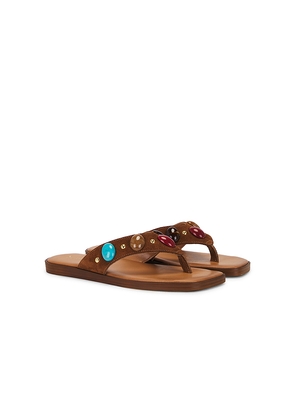 Seychelles Top Of The World Sandal in Brown. Size 10. Also in 6, 6.5, 7, 7.5, 8, 8.5, 9, 9.5.