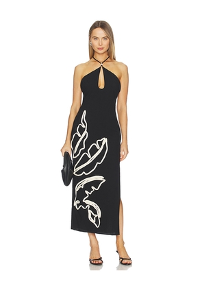 SEVEN WONDERS Brontie Keyhole Halter Midi Dress in Black,White. Size L. Also in M, S, XS.