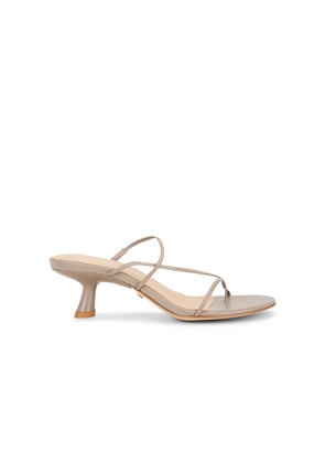 RAYE Virginia Sandal in Taupe. Size 10. Also in 5.5, 6, 6.5, 7, 7.5, 8, 8.5, 9, 9.5.