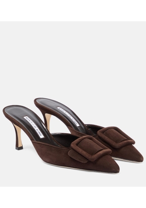 Manolo Blahnik Maysale 70 suede mules