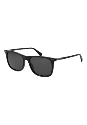 Polaroid Black Plastic Sunglasses
