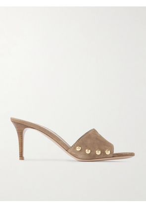 Gianvito Rossi - 70 Studded Suede Mules - Brown - IT35,IT36,IT36.5,IT37,IT37.5,IT38,IT38.5,IT39,IT39.5,IT40,IT40.5,IT41,IT41.5,IT42