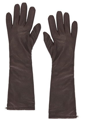 Magda Butrym Leather Gloves in Brown - Brown. Size M (also in ).