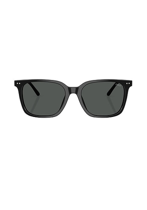 Polo Ralph Lauren Square Sunglasses in Shiny Black & Dark Grey - Black. Size all.