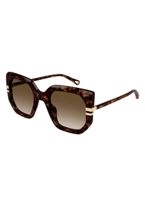 Chloe Brown Butterfly Ladies Sunglasses CH0240S 002 53