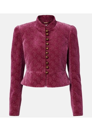 Chloe Floral cropped cotton velvet jacket