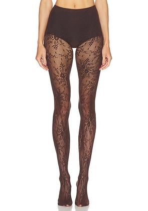 SWEDISH STOCKINGS Rosa Lace Tights in Dark Brown - Brown. Size S (also in ).