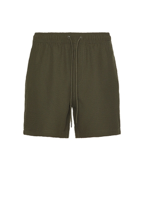Rails La Brea Shorts in Olive. Size L. Also in S.