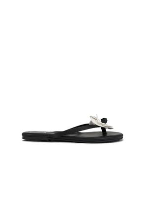 Solei Sea Valentina Sandal in Black. Size 8. Also in 9.
