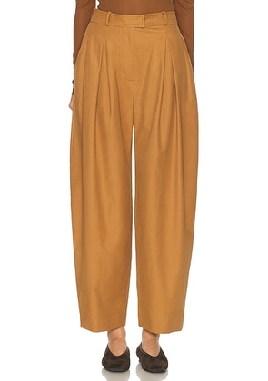 SEV Twill Jogger Fit Pant in Tabacco - Rust. Size 36 (also in 38, 40).