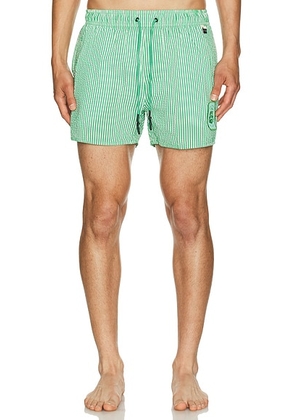Agua Bendita Cassius Swim Trunks in Green & White - Green. Size 36 (also in ).