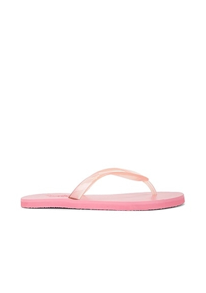 Ancient Greek Sandals Jelly Flip Flop in All Pink - Pink. Size 38 (also in 40).